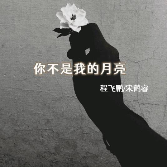 你不是我的月亮（程飞鹏/宋鹤睿演唱歌曲）