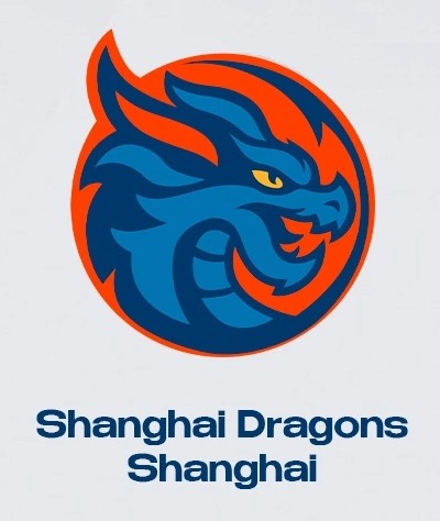 上海龙冰球俱乐部