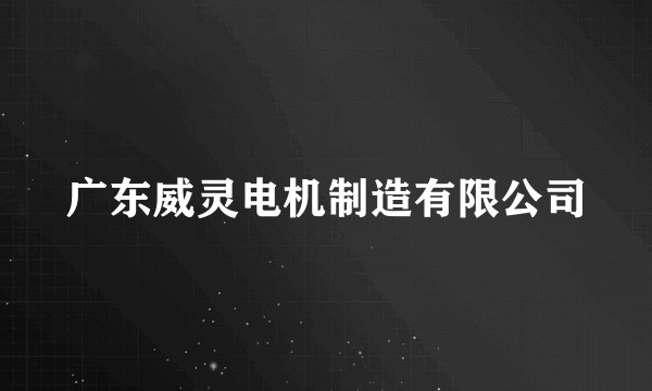 广东威灵电机制造有限公司