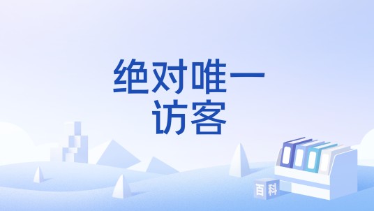 绝对唯一访客