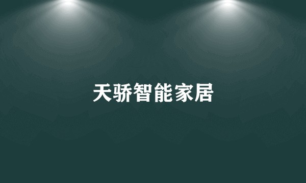 天骄智能家居