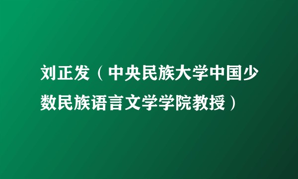刘正发(中央民族大学中国少数民族语言文学学院教授)