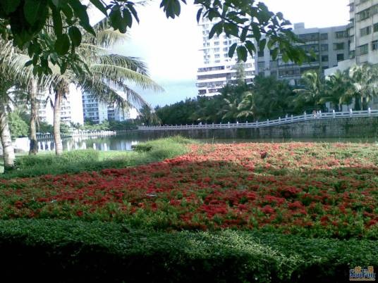 海口美舍河带状公园
