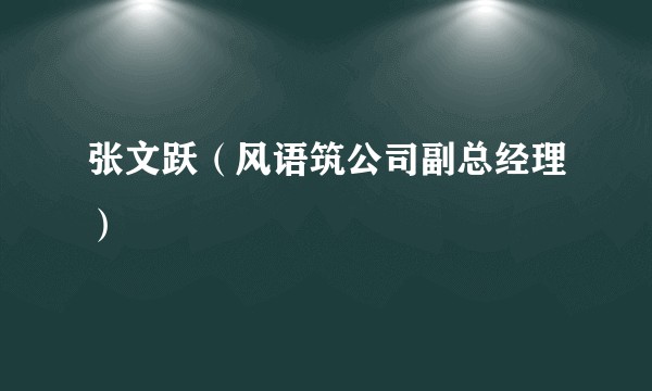 张文跃（风语筑公司副总经理）