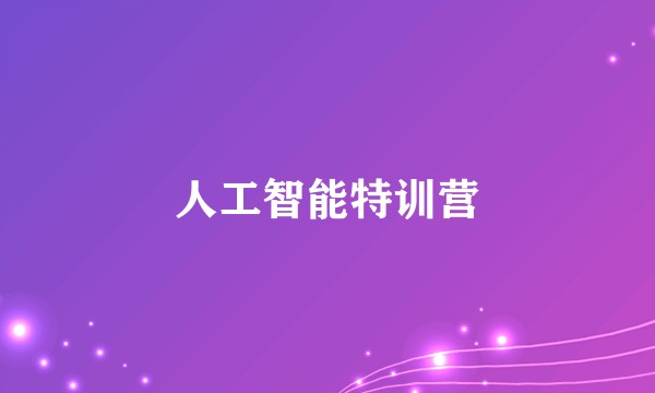 人工智能特训营