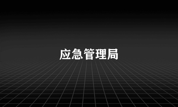应急管理局