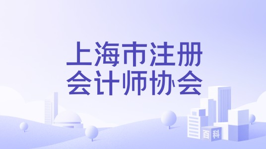 上海市注册会计师协会