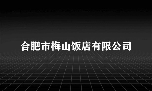 合肥市梅山饭店有限公司