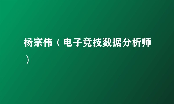 杨宗伟（电子竞技数据分析师）
