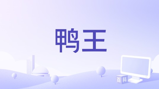鸭王（田涯坤编剧电影）