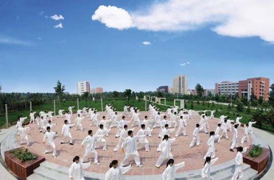 武当三丰太极拳动作分解
