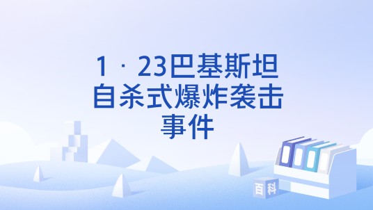 1·23巴基斯坦自杀式爆炸袭击事件
