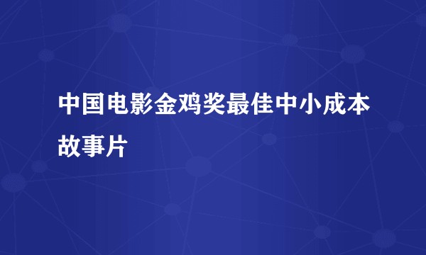 中国电影金鸡奖最佳中小成本故事片