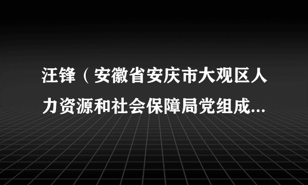汪锋（安徽省安庆市大观区人力资源和社会保障局党组成员、区公共就业和人才服务中心主任）