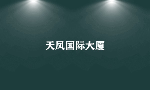 天凤国际大厦