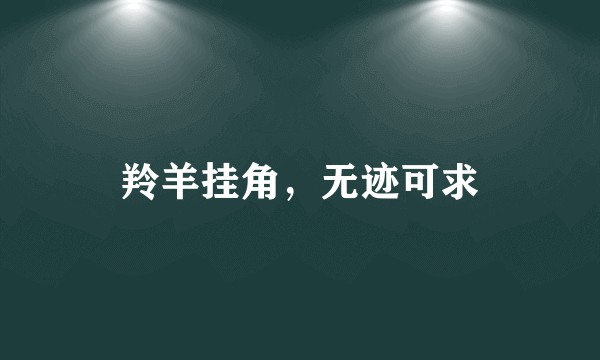 羚羊挂角，无迹可求