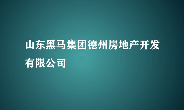 山东黑马集团德州房地产开发有限公司