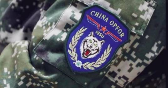 中国第一蓝军旅臂章