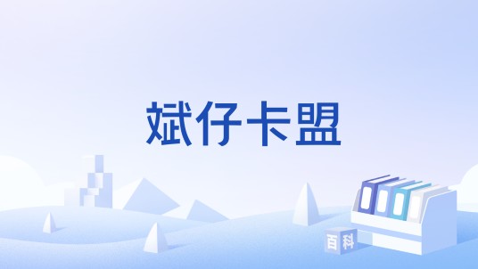 斌仔卡盟