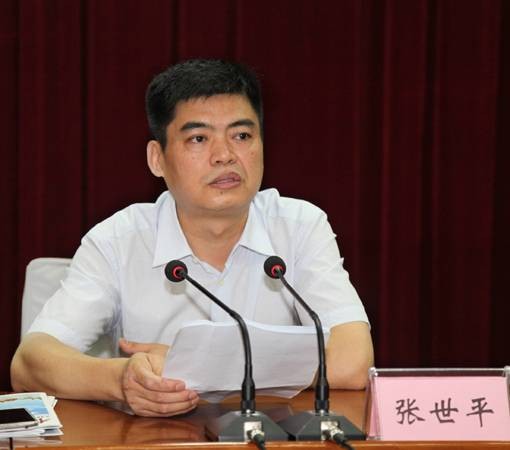 张世平（河南省委机要局原局长）