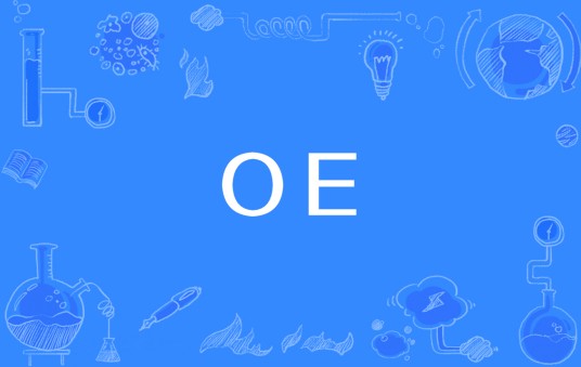 OE（芯片引脚）