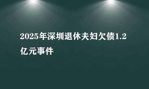 2025年深圳退休夫妇欠债1.2亿元事件