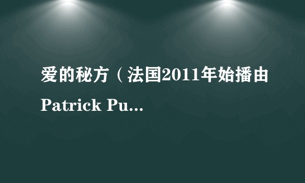 爱的秘方(法国2011年始播由Patrick Puydebat等人主演的剧集)