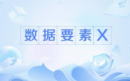 数据要素X