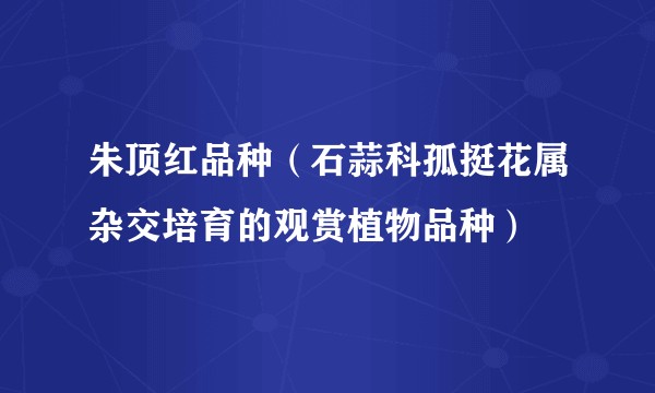 朱顶红品种（石蒜科孤挺花属杂交培育的观赏植物品种）
