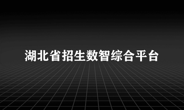 湖北省招生数智综合平台