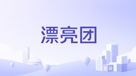 漂亮团