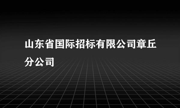 山东省国际招标有限公司章丘分公司