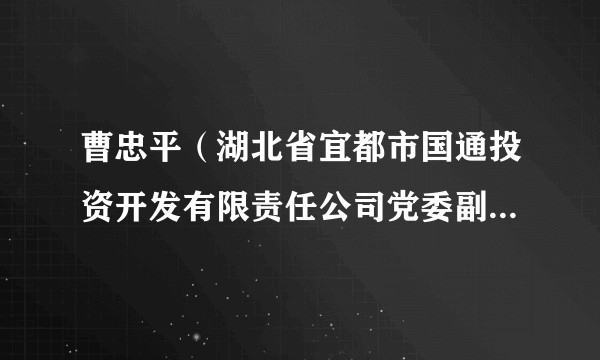 曹忠平（湖北省宜都市国通投资开发有限责任公司党委副书记、总经理）
