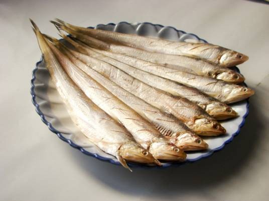 河刀鱼