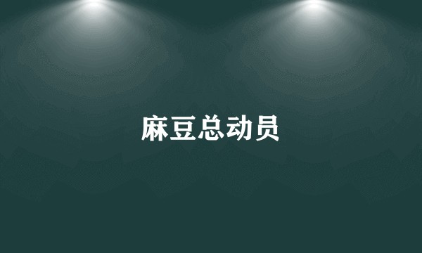 麻豆总动员