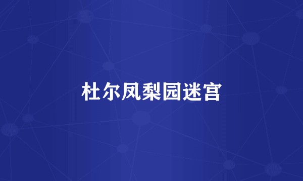 杜尔凤梨园迷宫