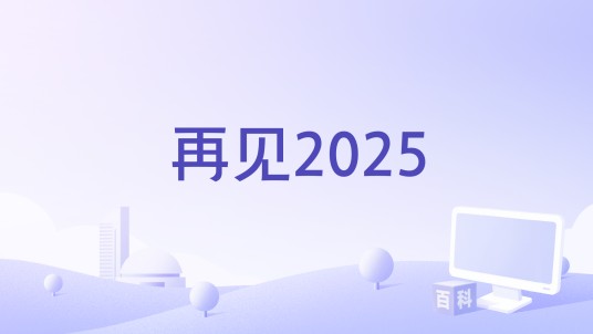 再见2025