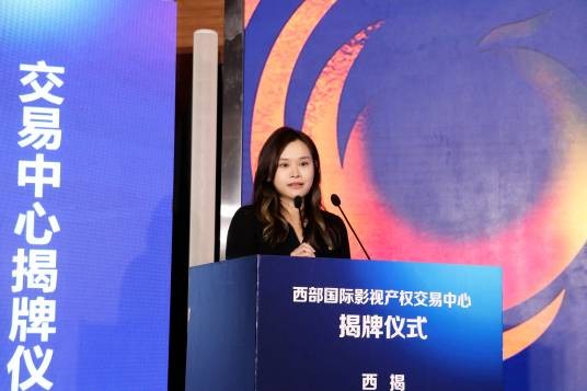 袁珊（中国内地影视制片人、出品人）