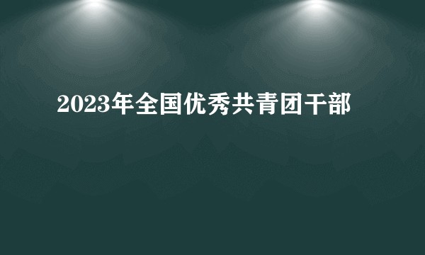 2023年全国优秀共青团干部