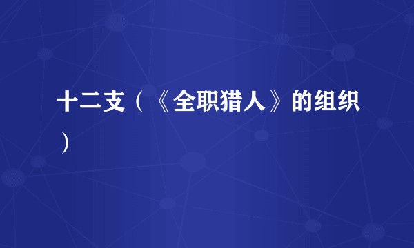 十二支（《全职猎人》的组织）