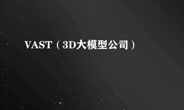 VAST（3D大模型公司）