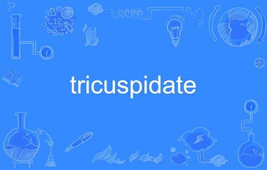 tricuspidate