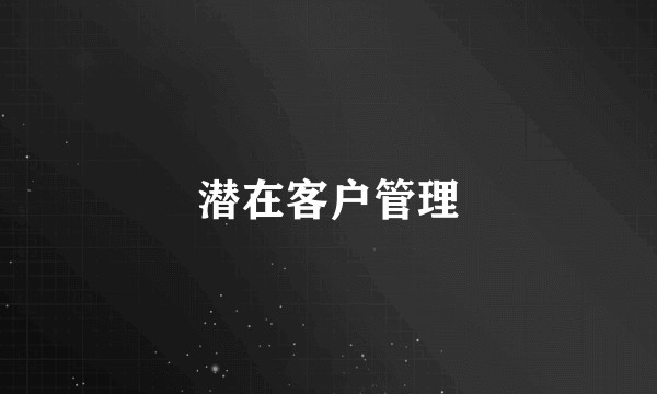 潜在客户管理