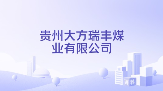 贵州大方瑞丰煤业有限公司
