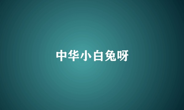中华小白兔呀
