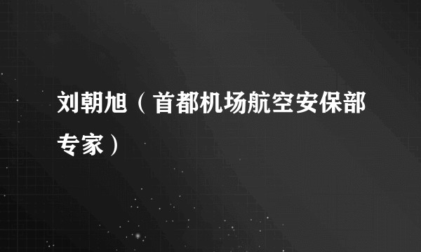 刘朝旭（首都机场航空安保部专家）