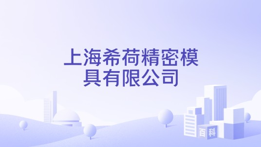 上海希荷精密模具有限公司