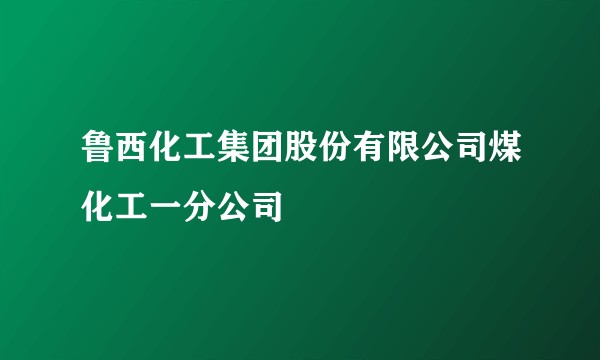 鲁西化工集团股份有限公司煤化工一分公司
