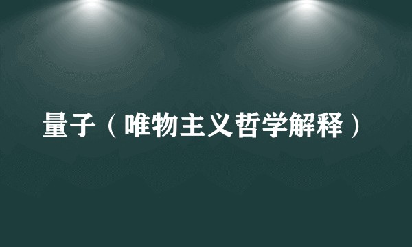 量子（唯物主义哲学解释）