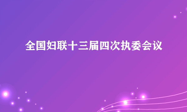 全国妇联十三届四次执委会议